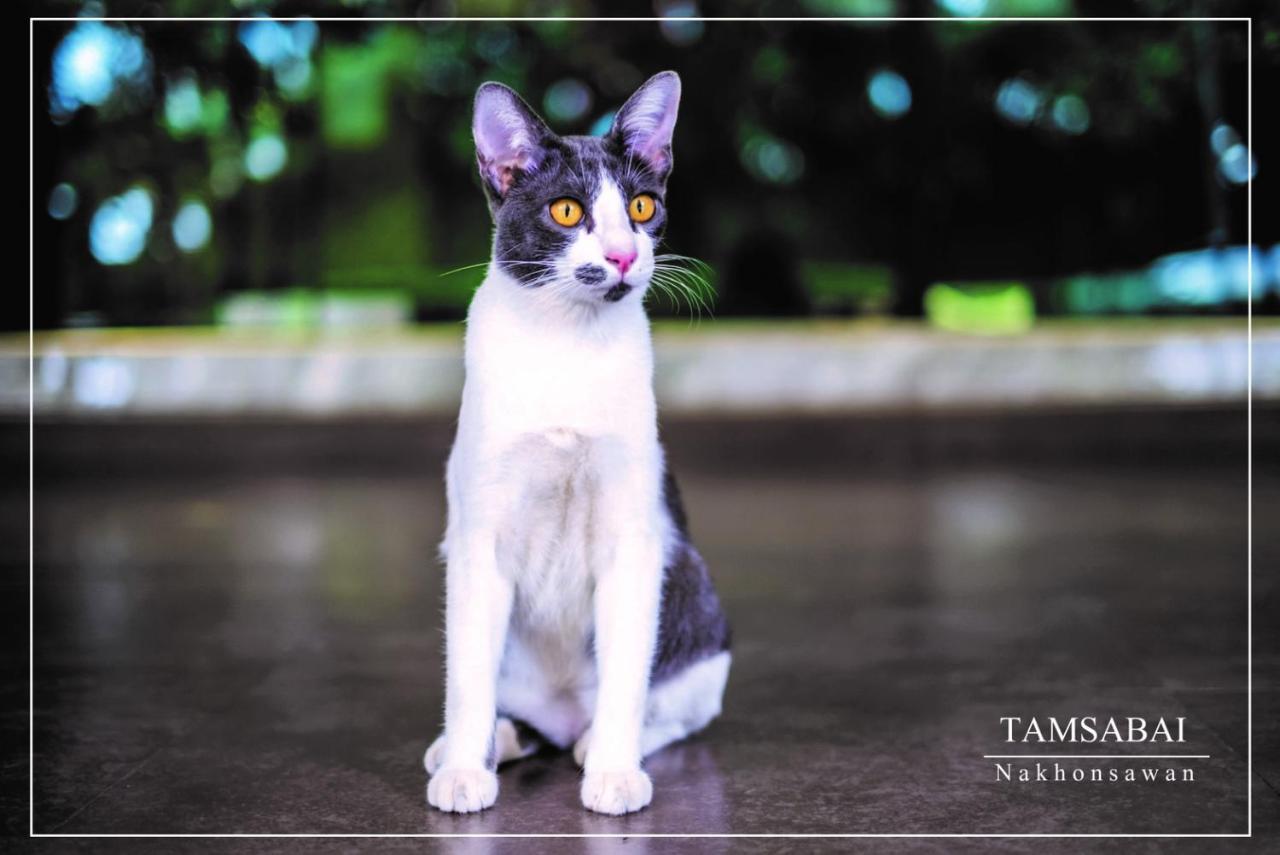 Tamsabai Hotel Nakhon Sawan Eksteriør billede